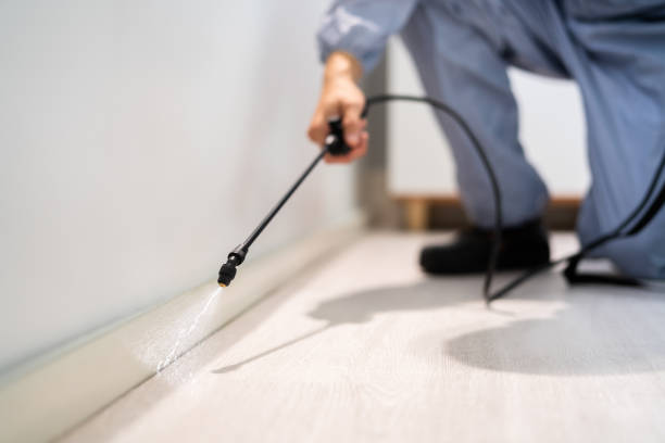 Licensed Termite Control service in Anniston, AL - Nex Pest Control