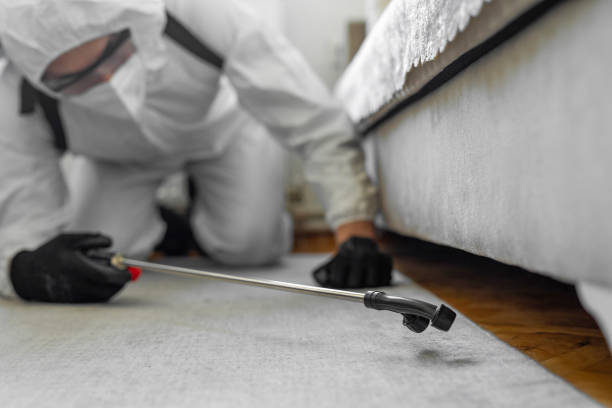 Professional Termite Control technician working in Anniston, AL