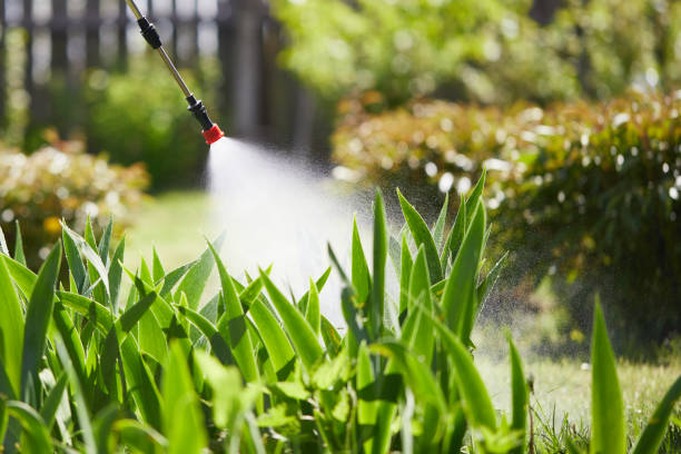 24/7 Emergency Termite Control experts in Anniston, AL