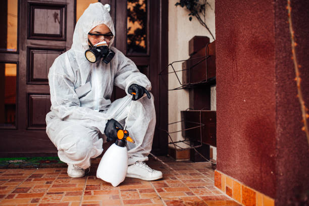 Reliable Termite Control contractor in Anniston, AL by Nex Pest Control