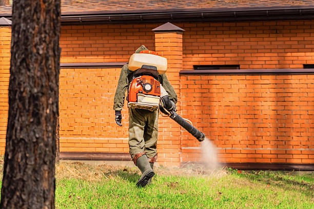 Top rated local Termite Control specialists in Anniston, AL